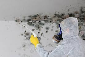 Mold Odor Removal Services in Jerseyville, IL